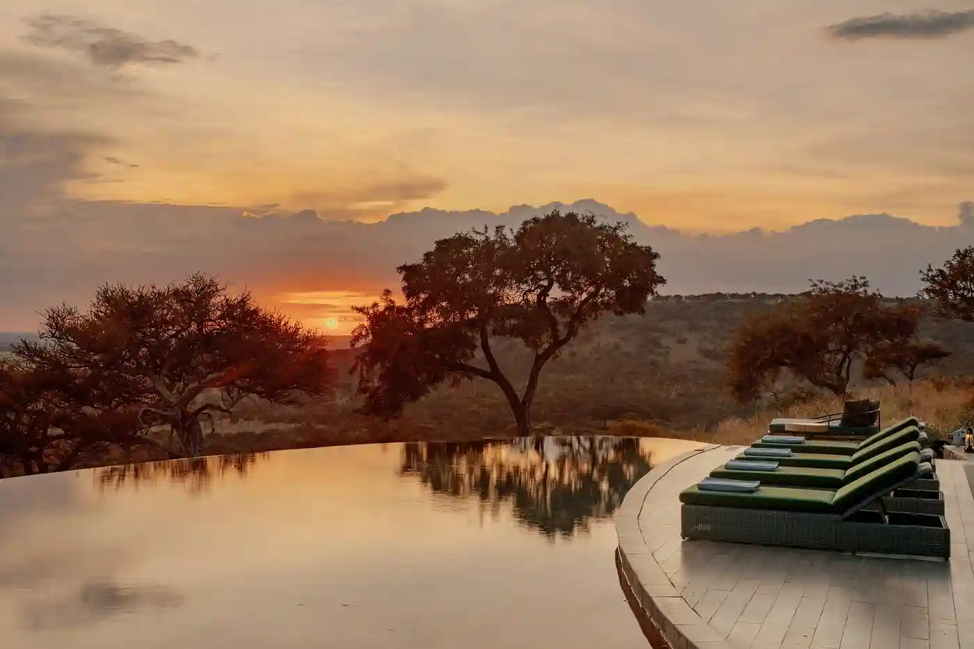 Melia Serengeti2