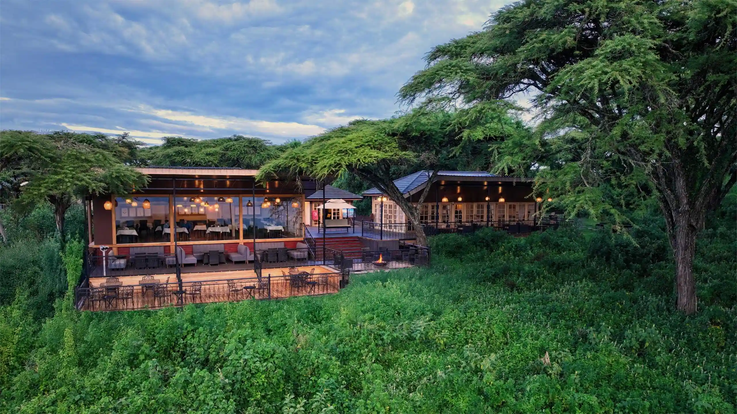 NGORONGORO LIONS PAW2