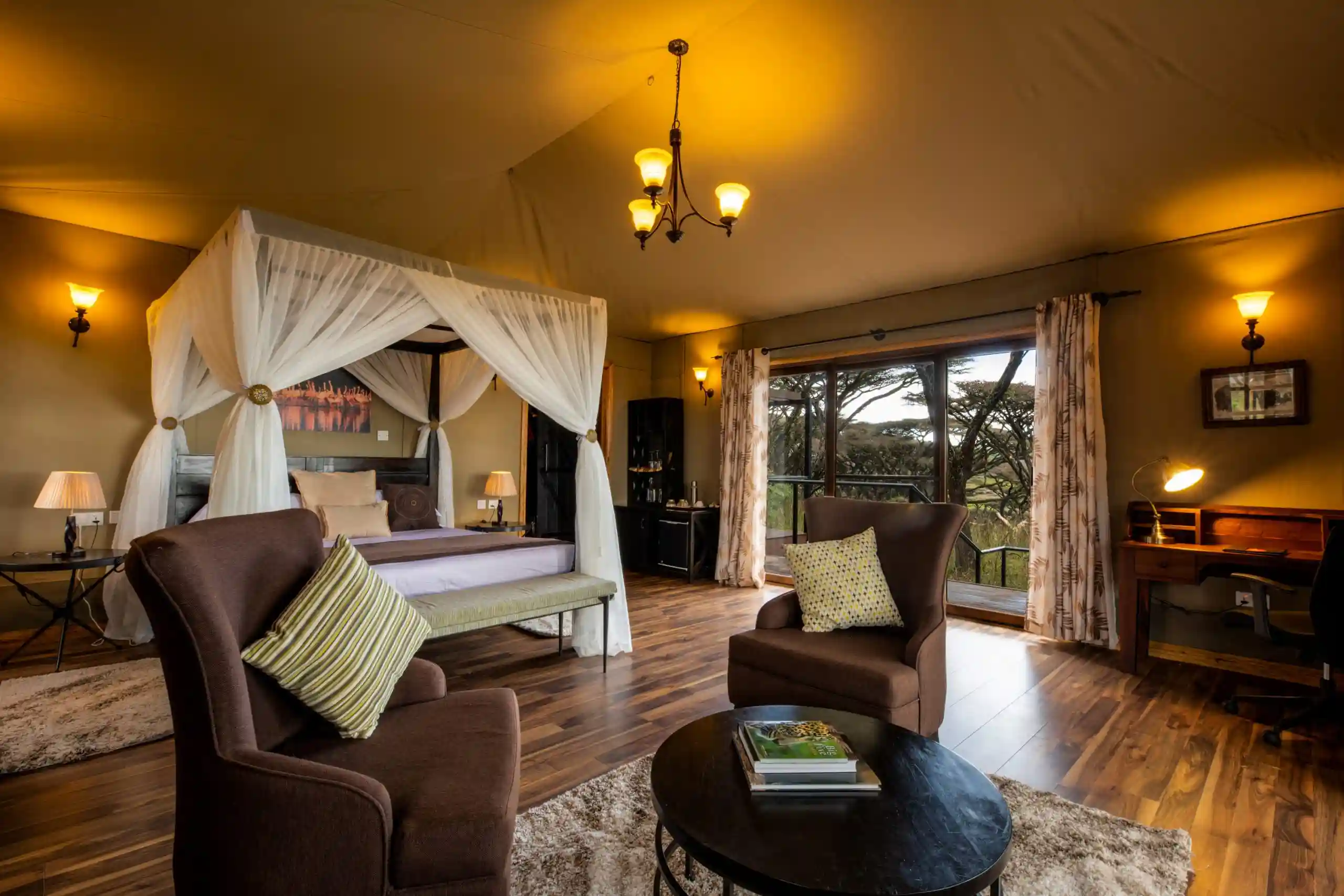 NGORONGORO LIONS PAW3