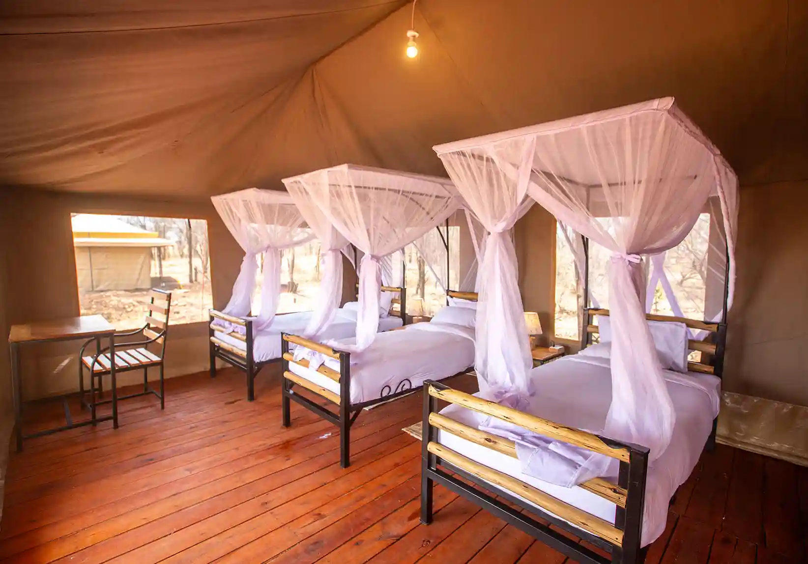 Serengeti House of Nature2