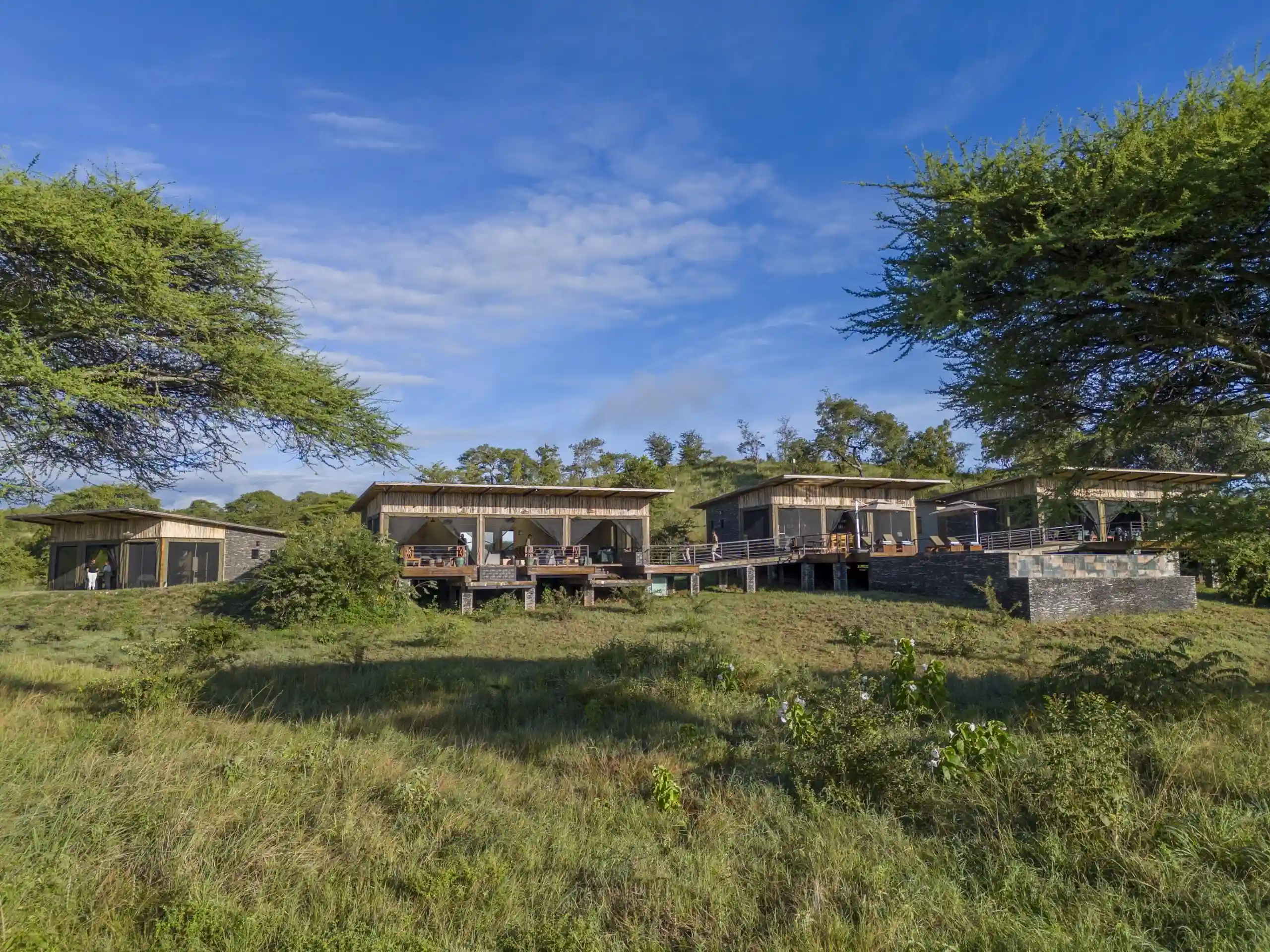 Tarangire Elephant Springs3