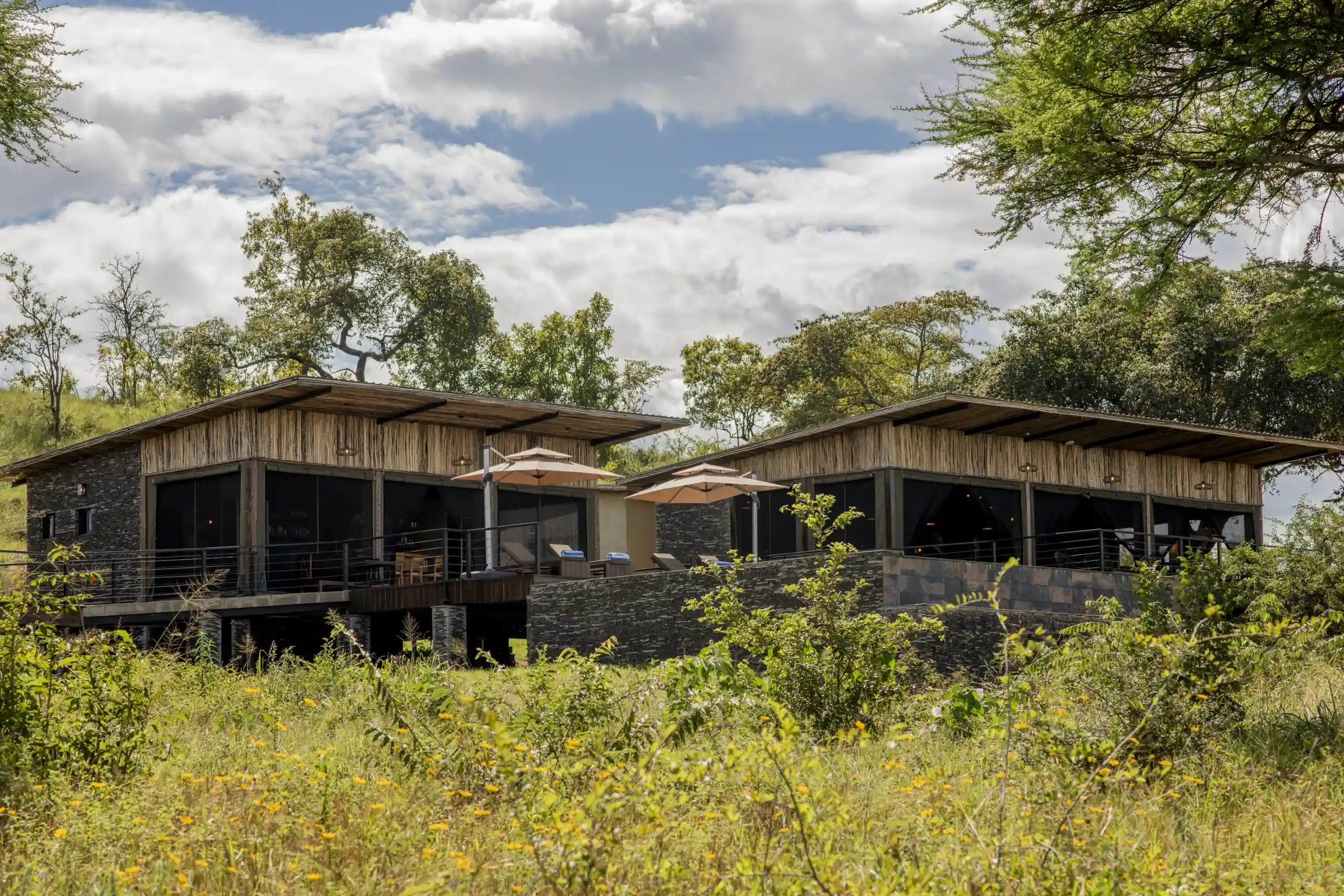 Tarangire Elephant Springs4